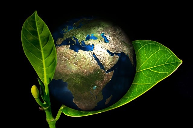 sustainable materials in shoe shopping decision